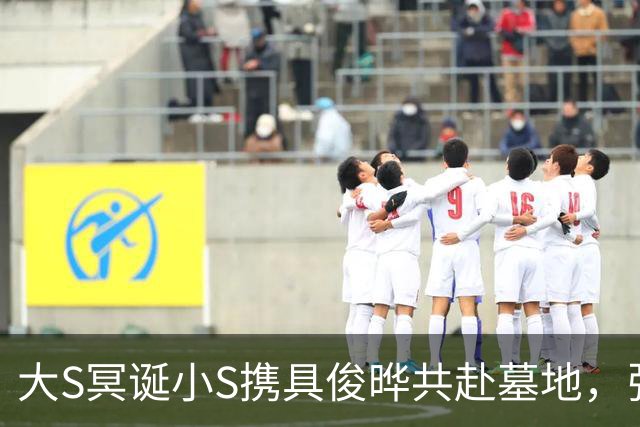 大S冥诞小S携具俊晔共赴墓地，张兰连发三文暗藏深意