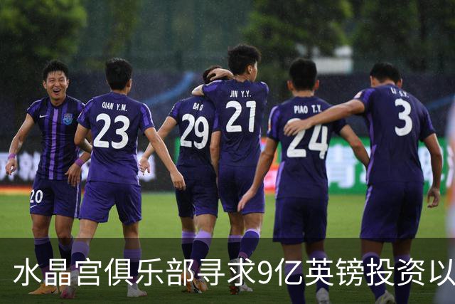 水晶宫俱乐部寻求9亿英镑投资以推动新球场建设